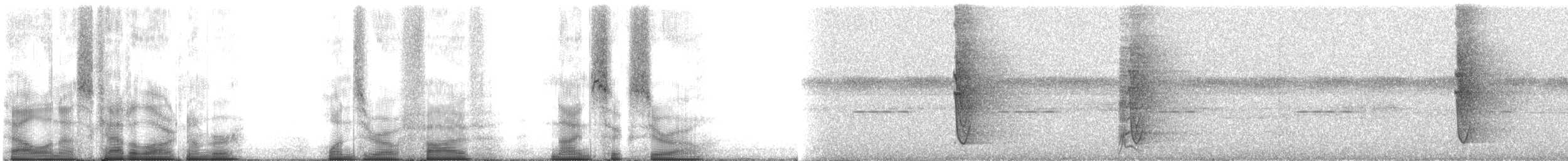 Зернолуск чорноголовий - ML105960