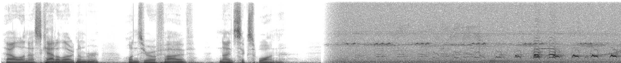 ガーターキヌバネドリ - ML105961