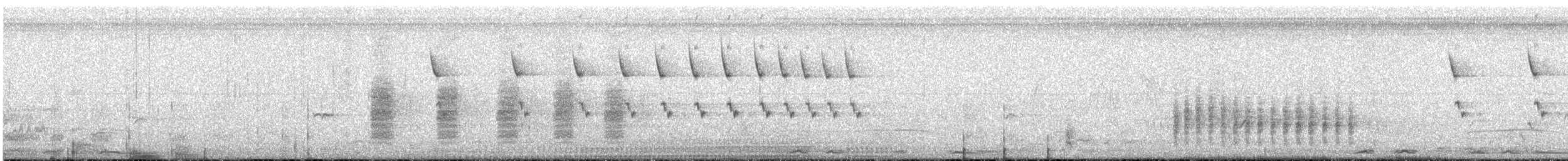 Ictérie polyglotte - ML105988421