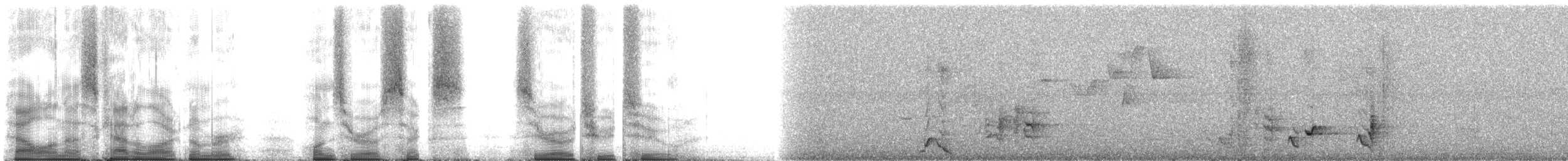 Troglodyte à nuque rousse (groupe capistratus) - ML106022