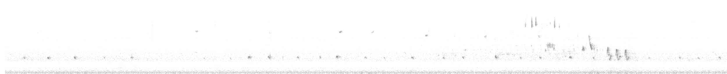 Поползень-крошка - ML106028521