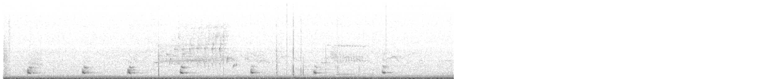 Common Gallinule - ML106033291