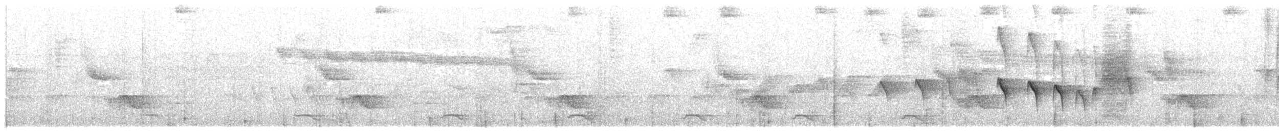 Strichelkopf-Ameisenfänger - ML106063621