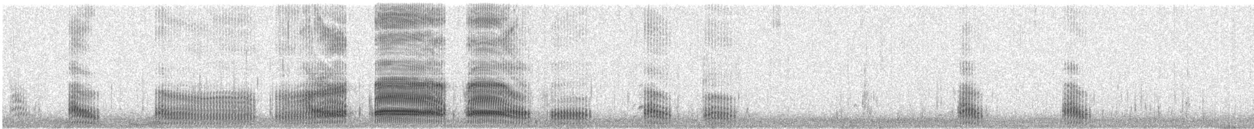 australmåke (novaehollandiae/forsteri) - ML106169901