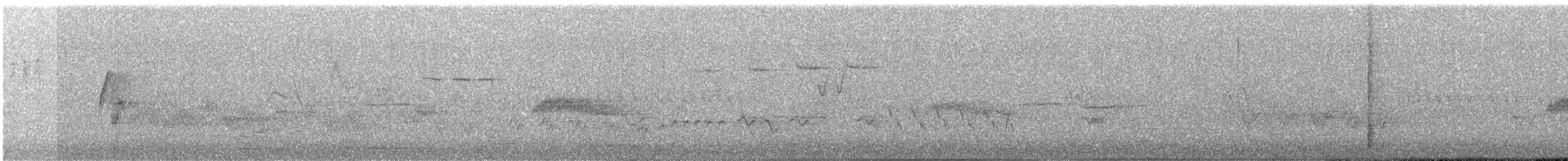 ハモンドメジロハエトリ - ML106193281