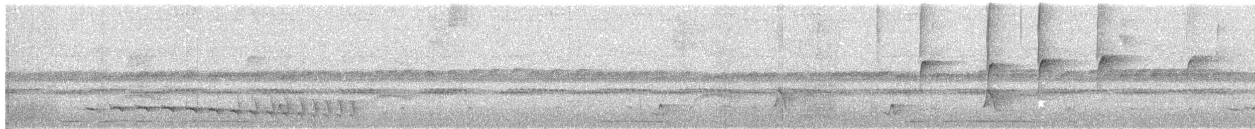 Olivgrau-Ameisenvogel - ML106217941