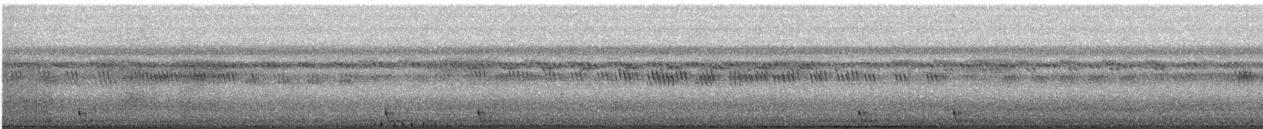 Large-tailed Nightjar - ML106219391