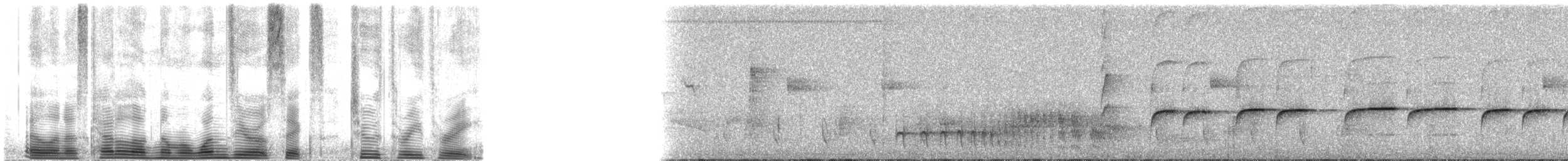 Finsch's Euphonia - ML106233
