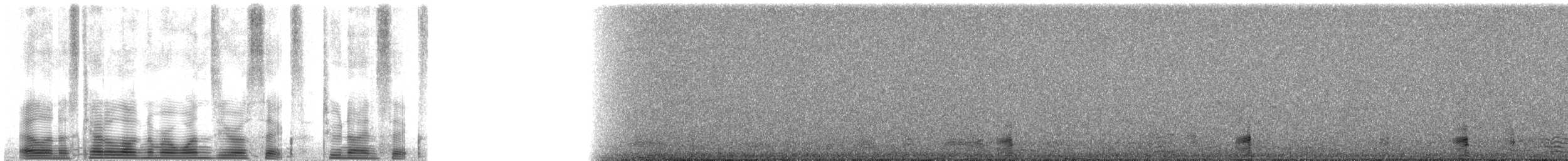 Казарка чорна (підвид nigricans) - ML106296