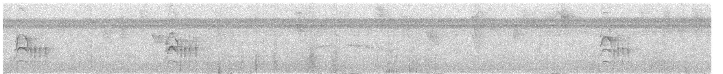 White-ringed Flycatcher - ML106329451