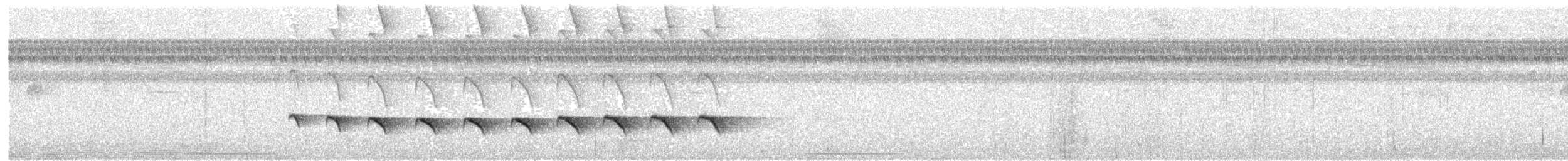 Stub-tailed Antbird - ML106329581