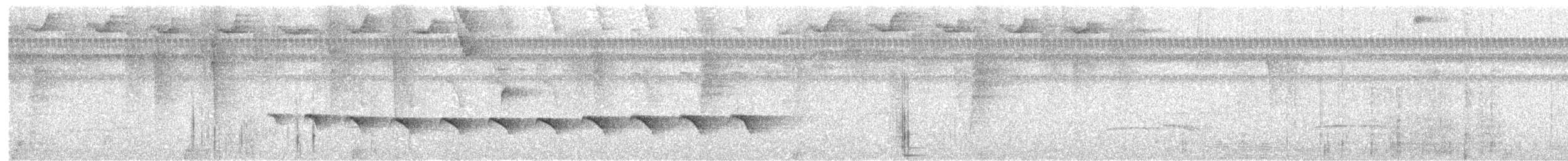 Stub-tailed Antbird - ML106329641