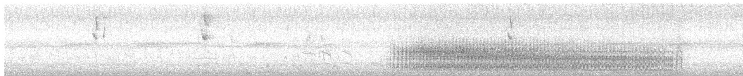 White-throated Crake - ML106330731