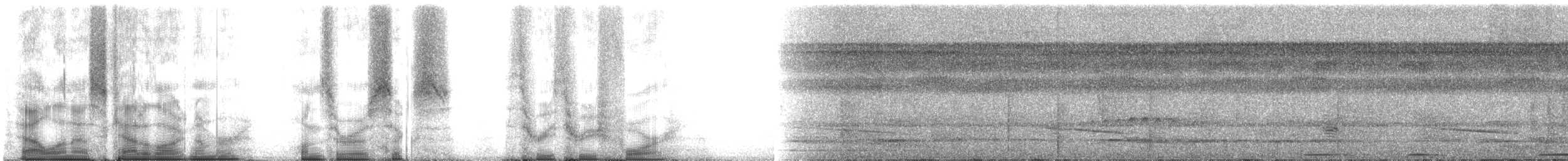 auroraskjeggfugl - ML106334