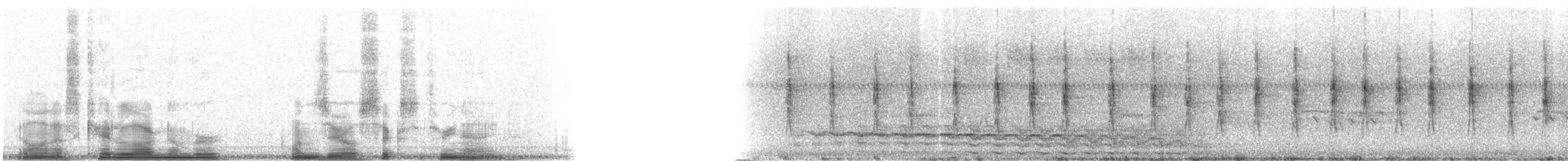 Pieperwaldsänger - ML10639