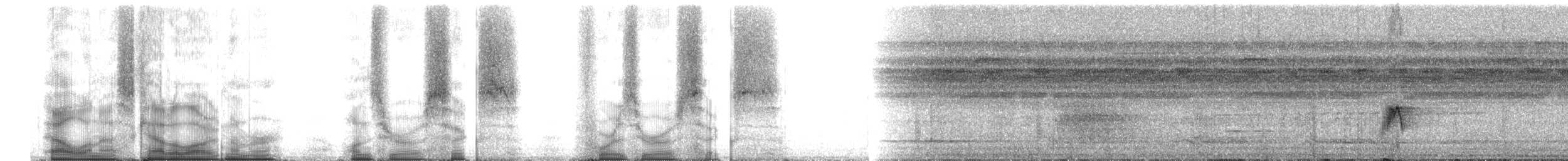 Engoulevent trifide - ML106406