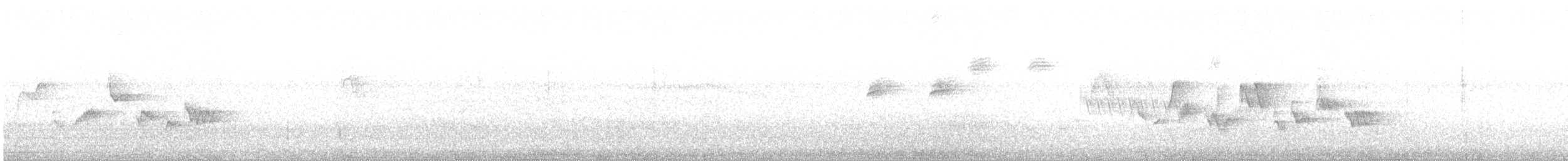 Western Warbling Vireo - ML106427131