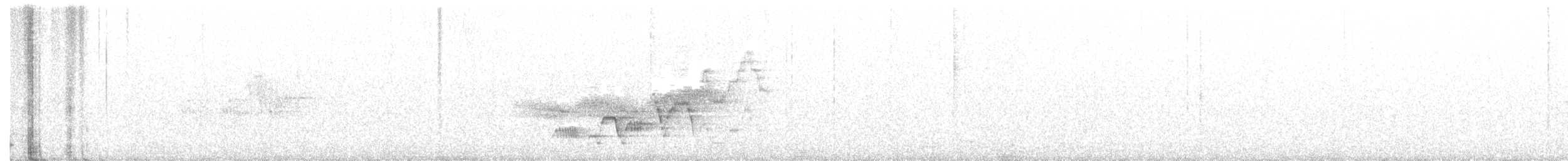 Swainson's Thrush - ML106434451