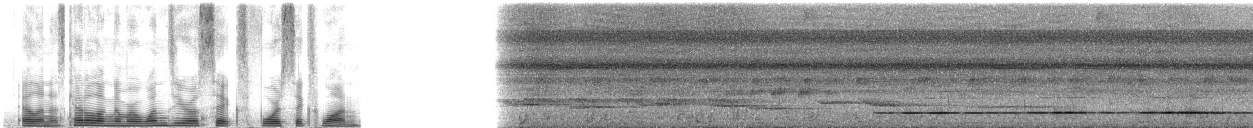 Great Tinamou - ML106461
