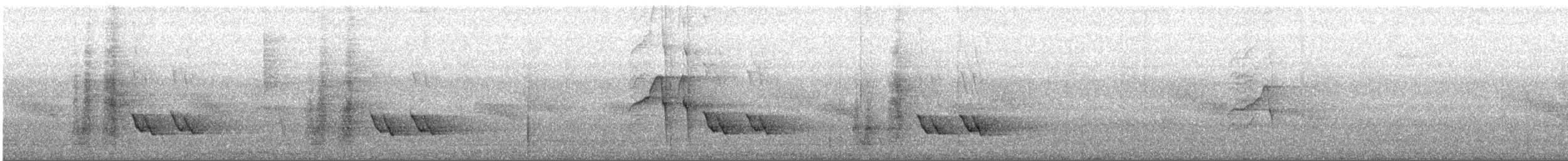 drongo vlajkový - ML106498161