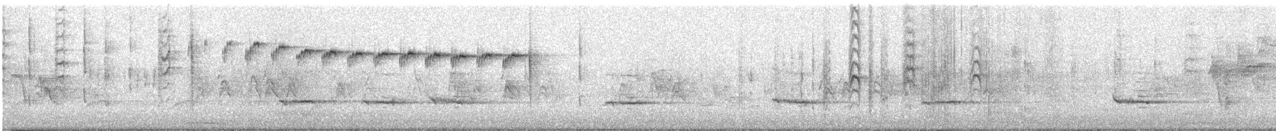New Zealand Fantail - ML106498871