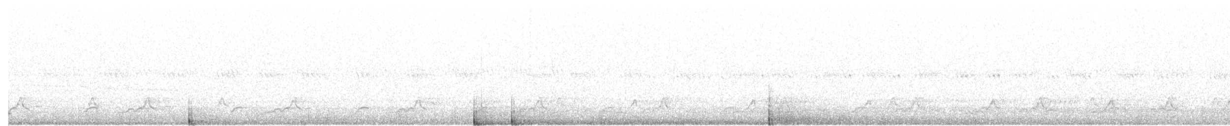 Schwarzkehl-Nachtschwalbe - ML106513311
