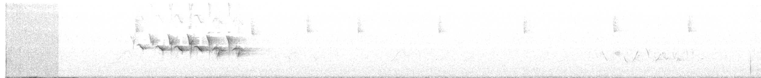 Paruline à croupion jaune (auduboni) - ML106523811