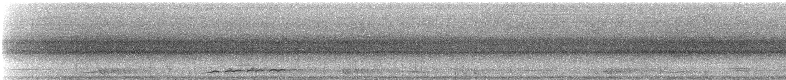 Pacific Koel - ML106539501