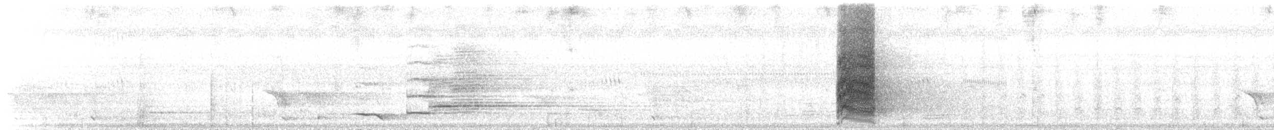 Papuan Eclectus - ML106541451