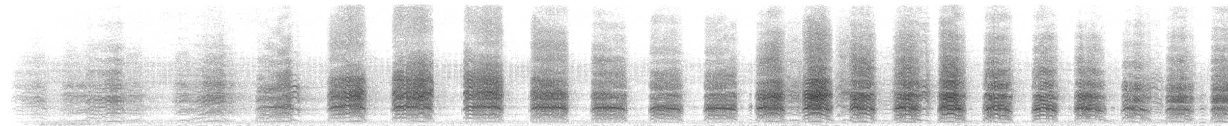 Solomons Corella - ML106542991