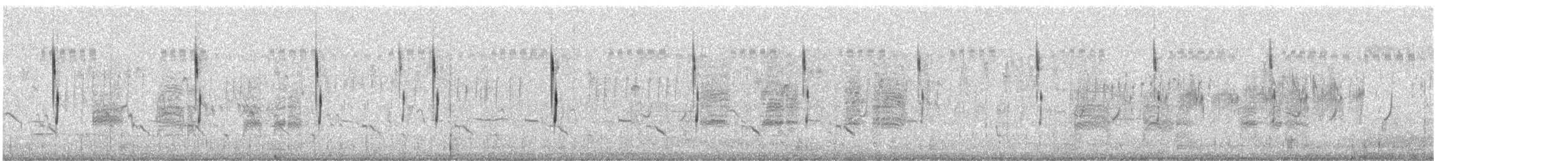 Cisticole des joncs - ML106603531