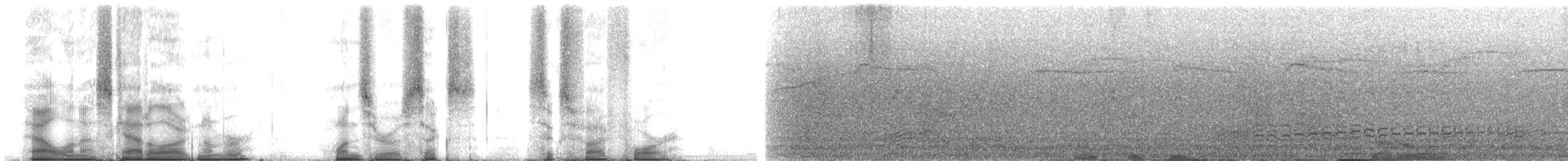 kormorán modrohrdlý - ML106654