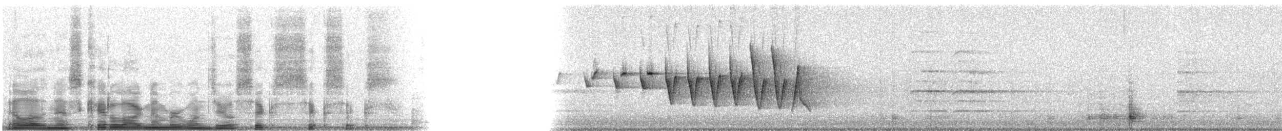 Northern Waterthrush - ML10666