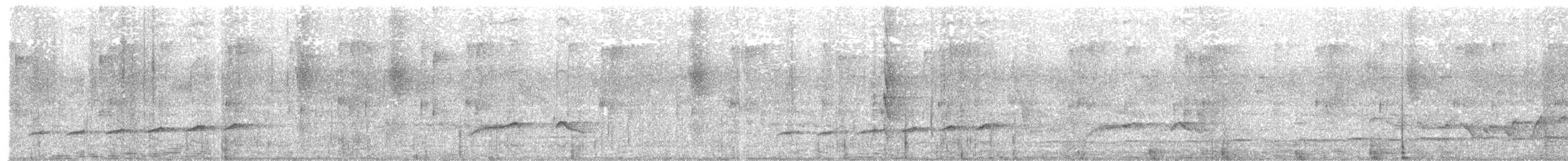 Вилохвостая дронговая кукушка - ML106695531