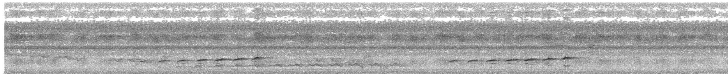 Вилохвостая дронговая кукушка - ML106699341