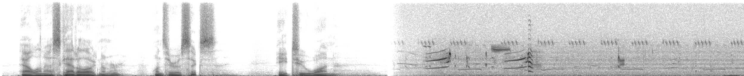 Пірникоза чорношия - ML106821