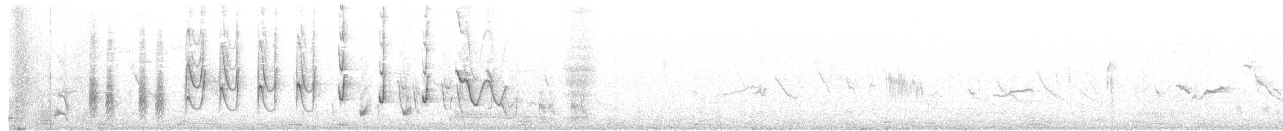 Chilespottdrossel - ML106916331