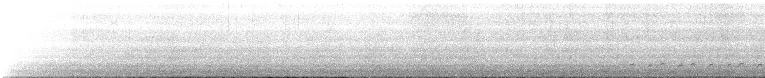 kajka mořská (ssp. dresseri) - ML106975701