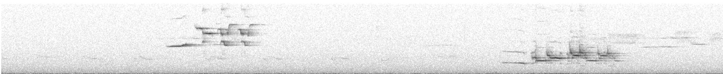 Дрізд-короткодзьоб плямистоволий - ML107028661