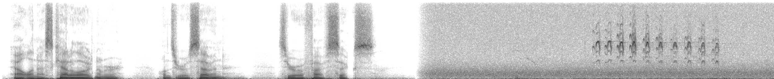American Kestrel (Northern) - ML107056