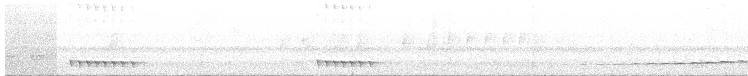 Крапчатый торорой - ML107062101