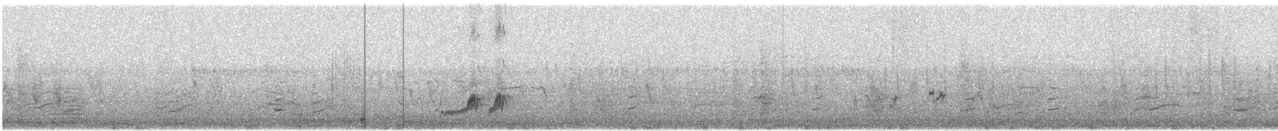 Akça Cılıbıt - ML107071221