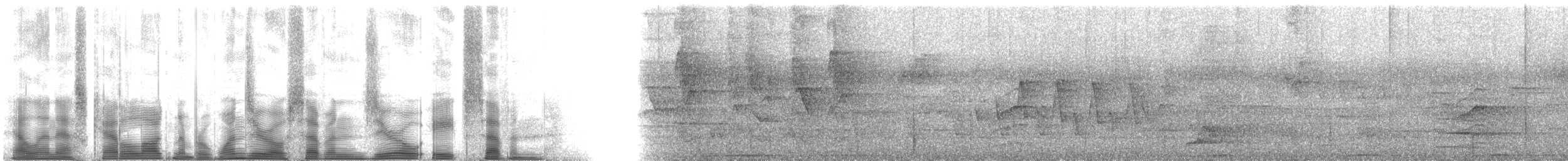 Ornate Fruit-Dove - ML107087