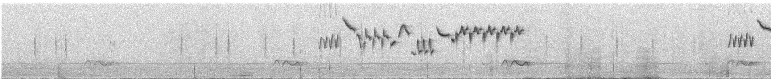 Волове очко - ML107088621