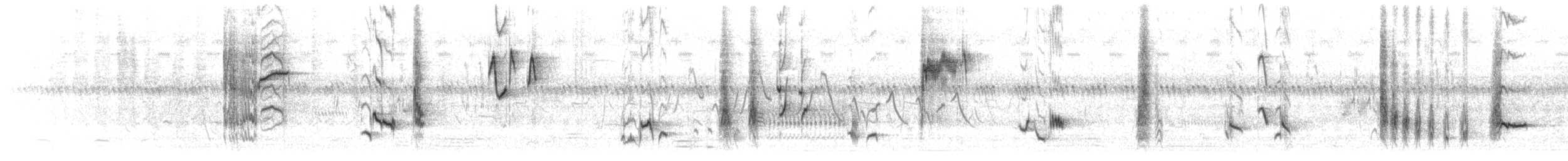 kattespottefugl - ML107134571