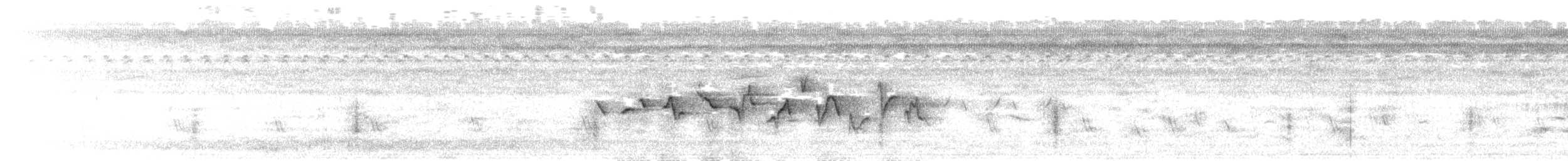 Papstfink - ML107137471