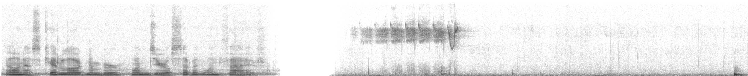 Paruline de Bachman - ML10715