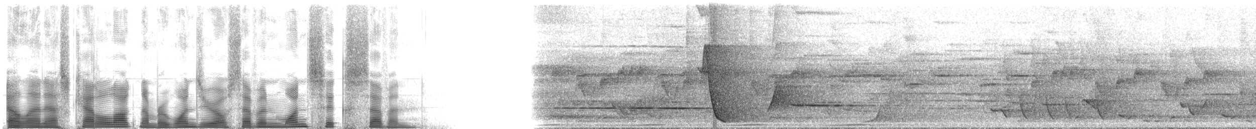 オウゴンニワシドリ - ML107167