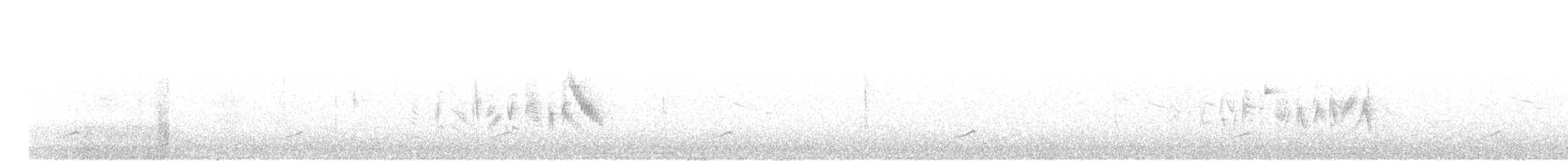 Braunaugenvireo (pusillus) - ML107168371