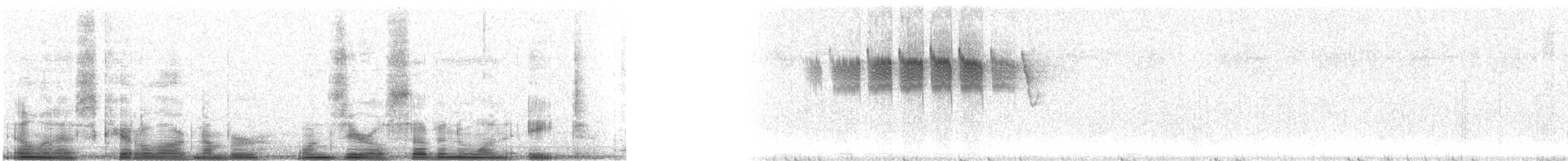 Paruline de Bachman - ML10718